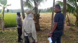 Petani Pangandaran 3 Kali Kehilangan Motor, Dicuri saat Mereka Sibuk Panen Padi di Sawah<