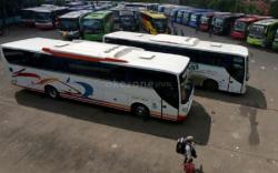 Tarif Angkutan Ekonomi AKAP Bisa Naik 40 Persen, Begini Penjelasan Organda