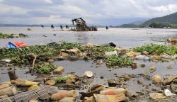 Penampakan Danau Sentani Mengalami Pendangkalan