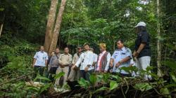 BKSDA dan Pemkot Singkawang Lepasliarkan 30 Burung Kacer