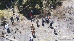 Bakar Hutan di Kawasan Danau Toba, Lansia dan Remaja Ditangkap Polisi