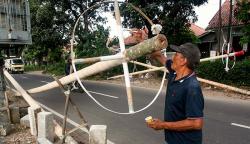 Pedagang Pohon Pinang Banyak Pesanan Jelang HUT RI