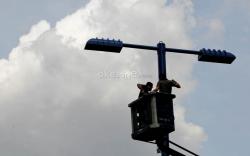Palembang Siapkan Rp4,8 Miliar untuk Tambah Lampu Jalan<