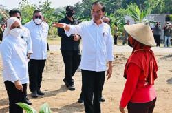 Jokowi Sebut 800 Juta Orang Akan Kelaparan jika Tak Ada Solusi Krisis Pangan