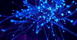 Vinton Cerf dan Bob Kahn, Perancang Protokol TCP/IP dan Arsitektur Internet