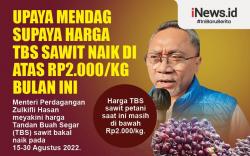  Infografis Upaya Mendag supaya Harga TBS Sawit Naik di Atas Rp2.000 per Kg 