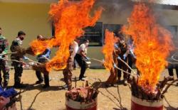 Antisipasi Penyebaran PMK, 122 Kg Daging Olahan asal Timor Leste Dimusnahkan