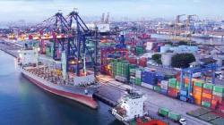  WTO Beberkan Faktor Pendorong Pertumbuhan  Perdagangan Global 