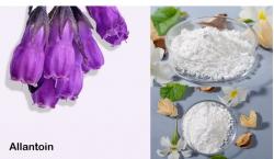 Mengenal Allantoin dan Manfaatnya untuk Kulit