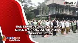 Hari Kemerdekaan RI, Satwa di Kebun Binatang Safari Bali Ikut Upacara Bendera