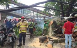 Jakarta Hujan Angin, Pohon Tumbang di Cawang Timpa Warung dan 6 Motor