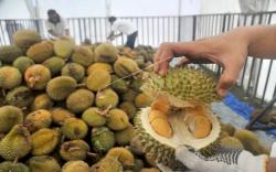 Muara Enim Gelar Festival Durian untuk Promosikan Wisata 