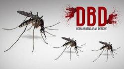 49 Orang Meninggal akibat DBD di Jawa Barat, Total Kasus Demam Berdarah 7.512