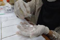  Keren, Mahasiswa UGM Ini Ubah Styrofoam Jadi Penyerap Limbah Laundry