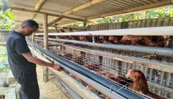Harga Telur Melonjak, Peternak di KBB Mengaku Tak Untung karena Pakan Mahal