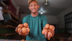 Mendag Ingatkan Bahaya Telur Dijual di Bawah HET: Bisa jadi Langka dan Mahal