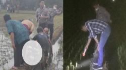Cibeureum Tasikmalaya Geger, Pencari Belut Temukan Mayat Pria Terbenam di Sawah <