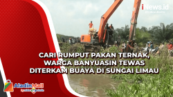 Cari Rumput Pakan Ternak, Warga Banyuasin Tewas Diterkam Buaya di Sungai Limau<