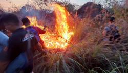 7,25 Ha Lahan Taman Nasional Gunung Ciremai Kuningan Terbakar, Pemicu Diselidiki<