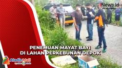 Penemuan Mayat Bayi di Lahan Perkebunan Depok