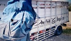  Tabrakan 2 Truk di Tol Semarang-Batang, Sopir dan Kernet Tewas <