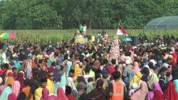 Ratusan Warga Rebutan Gunungan saat Haul Ki Ageng Tarub di Grobogan