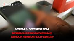 Pemuda di Bengkulu Tega Sembelih Kucing dan Dimasak, Sengaja Merekam Saat Beraksi
