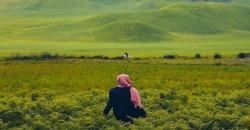 13 Wisata Alam di Malang Ini Punya Pesona Tersembunyi, Cocok untuk Berpetualang
