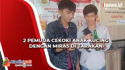 Heboh, 2 Pemuda Cekoki Anak Kucing dengan Miras di Tarakan