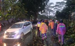 Bogor Hujan Angin, 1 Pemotor di Jalan Paledang Luka-Luka Tertimpa Pohon Tumbang