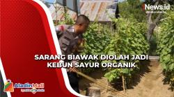 Sarang Biawak Disulap jadi Kebun Sayur Organik