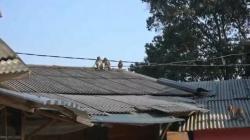 Diduga Kelaparan, Monyet Ekor Panjang Serbu Permukiman Warga di Curug Pelangi Cisarua KBB<
