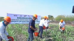 Kementerian BUMN Dorong Perhutani Tingkatkan Produksi Gula Nasional