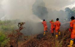 Karhutla di Ogan Ilir Sumsel, 5 Hektare Lahan Semak Belukar Terbakar<