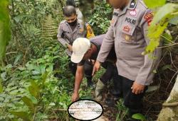 Belasan Ekor Kambing Warga di Solok Ditemukan Mati, Diduga Dimangsa Harimau<