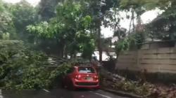 Pemkot Bandung Pastikan Mobil dan Bangunan Rusak Tertimpa Pohon Dapat Uang Santunan<