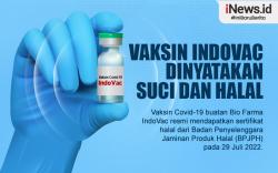Infografis Vaksin IndoVac Dinyatakan Suci dan Halal 