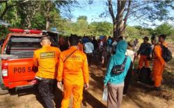 Pria 50 Tahun Hilang di Hutan Saat Cari Madu<