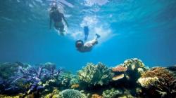 Pantai Pangandaran, Surga bagi Para Peselancar dan Wisatawan<