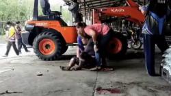 Tragis, Ayah Tak Sengaja Lindas Anak 2 Tahun dengan Traktor 
