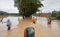 Banjir Aceh Timur, BNPB: 2.436 Orang Mengungsi