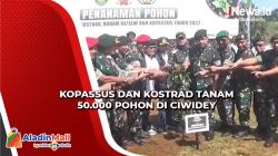 Begini Suasana saat Kopassus dan Kostrad Tanam 50.000 Pohon di Ciwidey