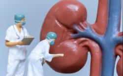 Dinkes Kalsel Catat 5 Kasus Kematian akibat Gagal Ginjal pada Anak<