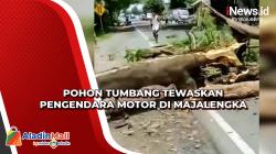 Pohon Tumbang Tewaskan Pengendara Motor di Majalengka