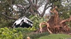 Update Puting Beliung Sidoarjo: 291 Rumah Rusak, 4 Warga Luka