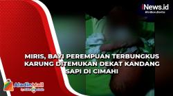 Miris, Bayi Perempuan Terbungkus Karung Ditemukan Dekat Kandang Sapi di Cimahi