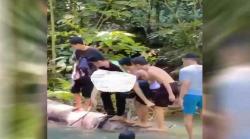 Mahasiswa Tewas Tenggelam di Air Terjun Moramo, Diduga Tersangkut Batu saat Menyelam