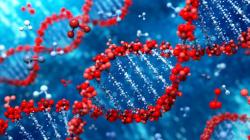 Perbedaan DNA dan RNA, Definisi, Struktur, Komposisi dan Fungsi