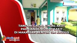 Tangani Gagal Ginjal Akut pada Anak, Rumah Sakit di Makassar Bentuk Tim Khusus<
