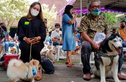Unik, Ratusan Anjing dan Kucing Ikut Ibadah di Gereja HKTY Ganjuran Bantul